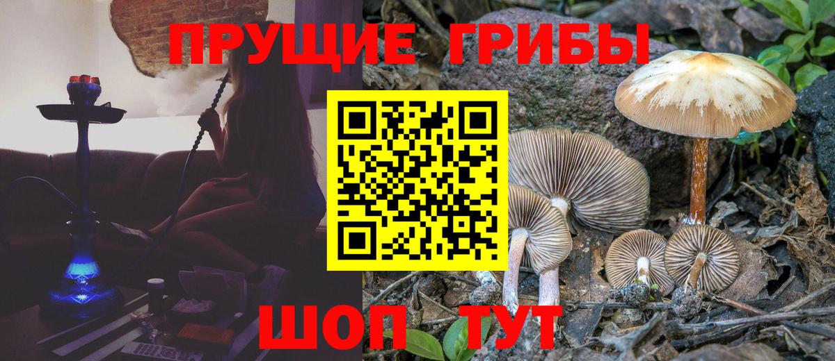 Псилоцибиновые грибы мухоморы  Вход с VPN  как найти закладки  Михайловск 