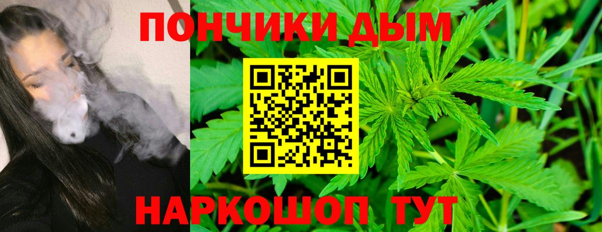 Бошки Шишки план  Бошки марихуана THC 21%  Конопля конопля  Вход с VPN  МАРИХУАНА тримм  Михайловск 